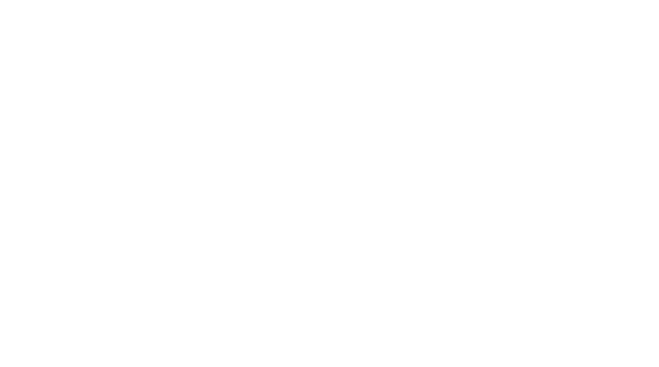 Logo Branco Fiscon & Prosper Associados Contabilidade Em São Paulo Sp - Fiscon & Prosper Auditoria